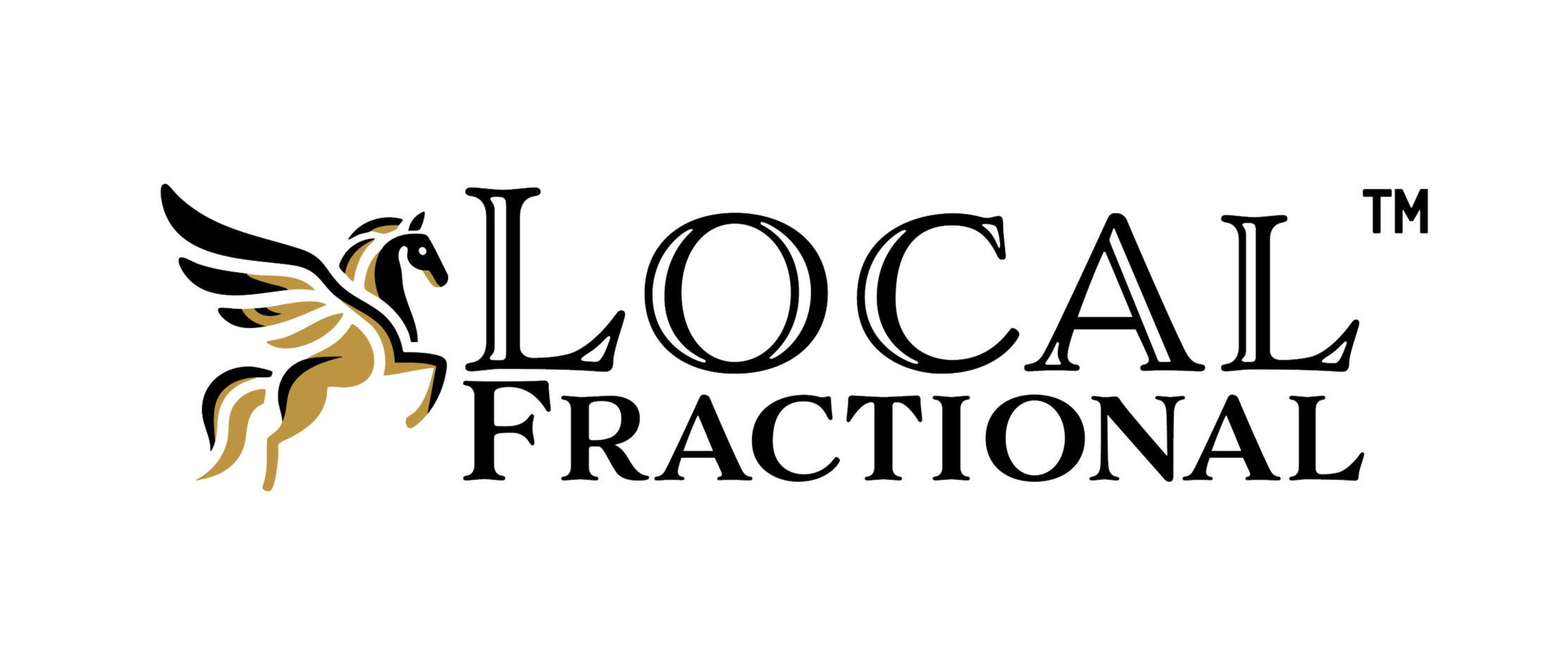Dallas FCFO | Real-Time Financial Dashboards & Business Scorecards